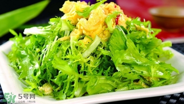 苦菊能和豆腐一起吃嗎？苦菊可以和豆腐一起吃嗎