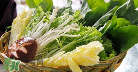 苦菊能涮火鍋吃嗎？苦菊可以涮火鍋嗎