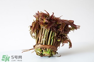 香椿樹什么時(shí)候發(fā)芽？香椿樹什么時(shí)候種植