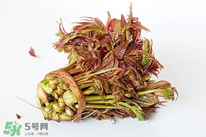 香椿樹什么時(shí)候發(fā)芽？香椿樹什么時(shí)候種植