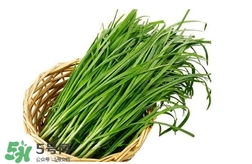 苦菊能和韭菜一起吃嗎？苦菊可以和韭菜一起吃嗎