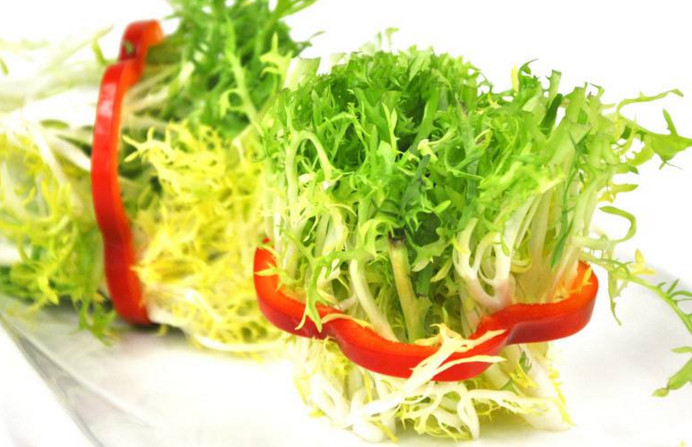 苦菊和什么相克？苦菊不能和什么同吃