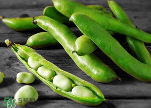 蠶豆什么時(shí)候成熟？蠶豆什么時(shí)候上市？