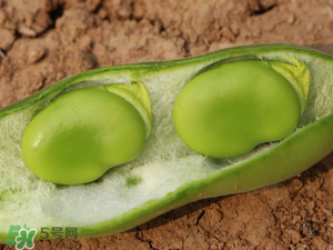 蠶豆什么時(shí)候成熟？蠶豆什么時(shí)候上市？
