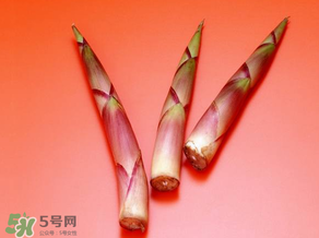 竹筍什么人不能吃？哪些人不適合吃竹筍？