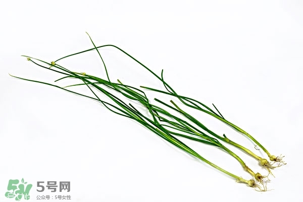 小根蒜的根能吃嗎？小根蒜的須子可以吃嗎
