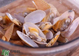 花甲怎么養(yǎng)不會(huì)死？花甲怎么養(yǎng)到用第二天？