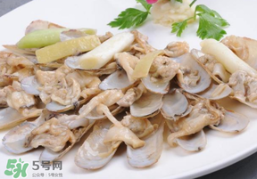 花甲怎么保存不會(huì)死？花甲怎么保存到次日？