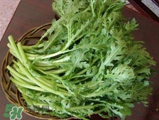 茼蒿怎么種？ 茼蒿的種植方法和時間