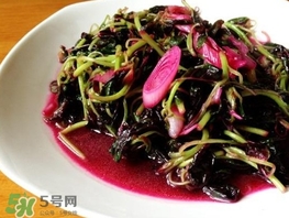 莧菜怎么摘？莧菜怎么處理