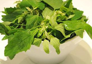 灰灰菜怎么吃？灰灰菜的吃法