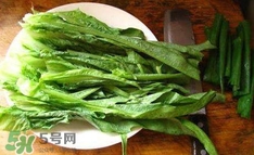 萵苣葉是什么？生菜是不是萵苣葉子