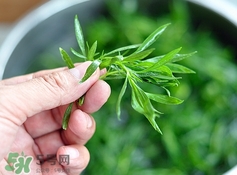 掃帚菜怎么做好吃？掃帚菜怎么吃好吃