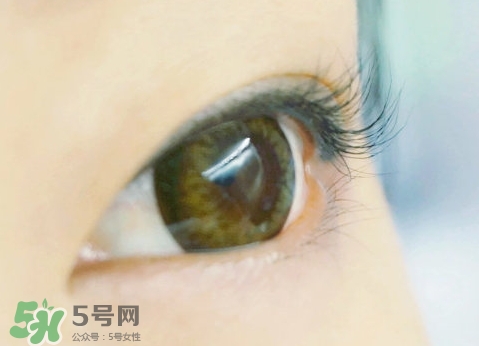 貝印和muji睫毛夾哪個(gè)好？貝印和無(wú)印良品睫毛夾對(duì)比