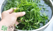 掃帚菜怎么做好吃？掃帚菜怎么吃好吃