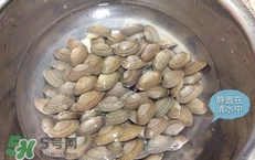 芒果螺怎么清洗？芒果螺怎么吃