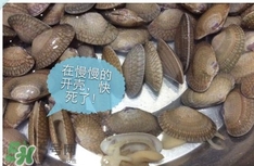 芒果螺怎么清洗？芒果螺怎么吃