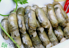 蟶子不能和什么一起吃？蟶子和什么不能一起吃？