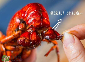 吃油燜大蝦會胖嗎？油燜大蝦的熱量是多少？
