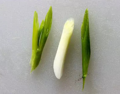 蒜苗怎么切？蒜苗如何切