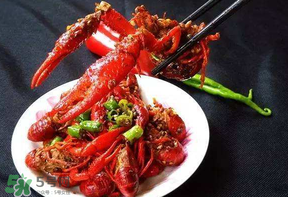 龍蝦什么時候上市？龍蝦幾月份上市？