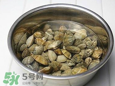 芒果螺孕婦能吃嗎？芒果螺孕婦可以吃嗎