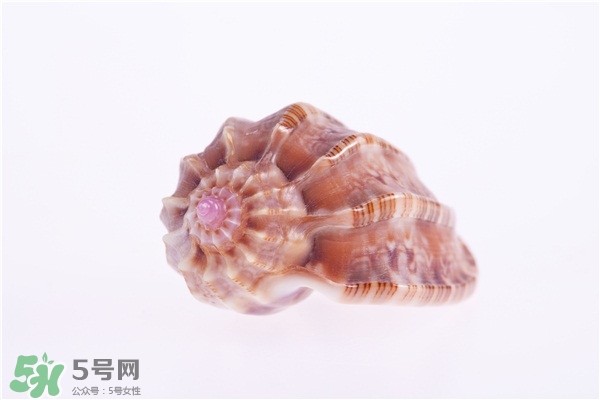 海螺的尾部能吃嗎？海螺的尾巴可以吃嗎