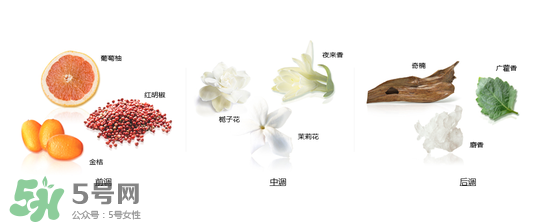 郎朗香水是什么牌子？郎朗香水是什么檔次？