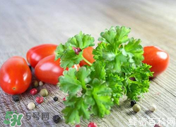 四月份可以種香菜嗎？四月份還能種香萊嗎？