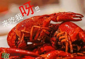 煮熟的小龍蝦隔夜能吃嗎？煮熟的小龍蝦能放多久？