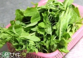 豌豆苗怎么做好吃？豌豆苗的做法