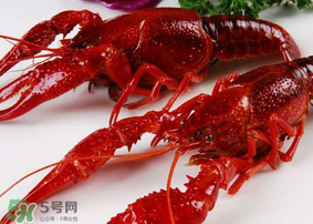 龍蝦發(fā)苦怎么回事？龍蝦發(fā)苦能吃嗎？