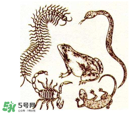 五毒日是哪幾天？2017年五毒日是哪幾天？