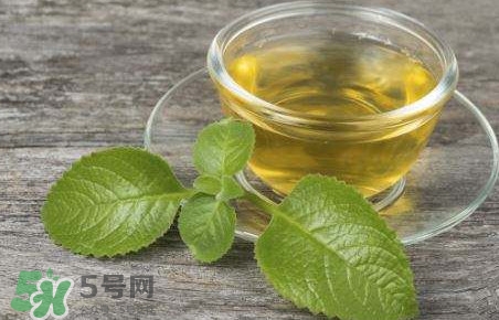 薄荷泡水喝有什么好處？薄荷葉泡水的功效