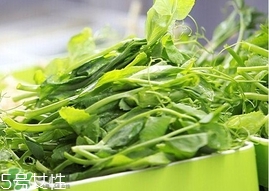 豌豆苗怎么做好吃？豌豆苗的做法