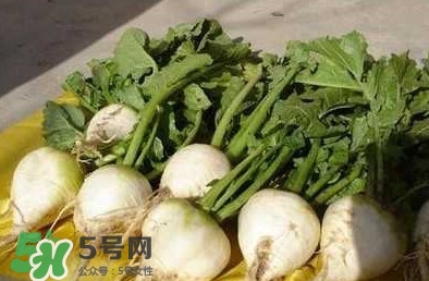 芥菜疙瘩孕婦能吃嗎？孕婦可以吃芥菜疙瘩嗎