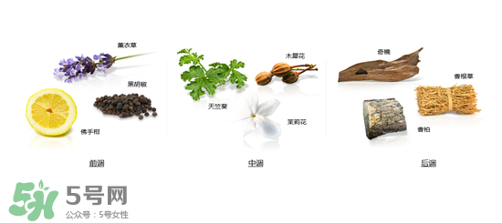 郎朗香水是什么牌子？郎朗香水是什么檔次？