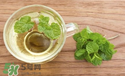 薄荷葉能生吃嗎？薄荷葉可以生吃嗎