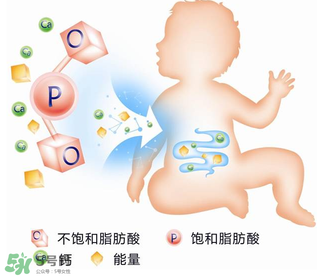 kabrita佳貝艾特羊奶粉怎么樣？kabrita佳貝艾特羊奶粉好不好？