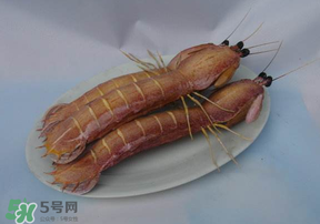 皮皮蝦死了還能吃嗎？皮皮蝦死了多久還能吃？