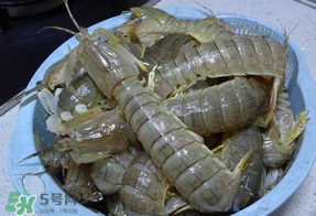 皮皮蝦死的怎么清洗？死的皮皮蝦怎么清洗？