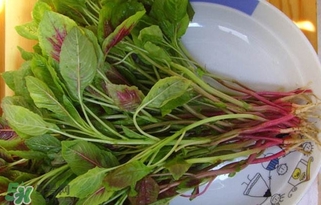 莧菜怎么洗？莧菜怎么擇