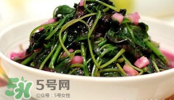莧菜怎么洗？莧菜怎么擇