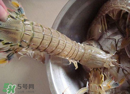 皮皮蝦可以放冰箱嗎？皮皮蝦能放冰箱保存嗎？