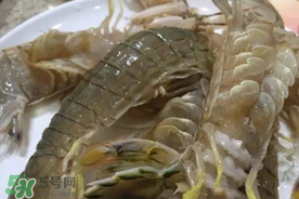 皮皮蝦可以放冰箱嗎？皮皮蝦能放冰箱保存嗎？