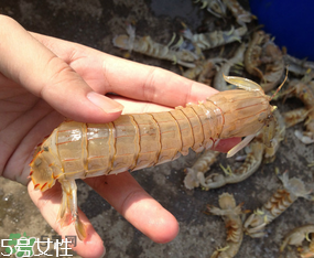 ?皮皮蝦發(fā)綠能吃嗎？?皮皮蝦變綠了還能吃嗎？