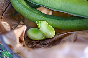蠶豆可以放冰箱嗎？新鮮蠶豆可以放冰箱嗎？