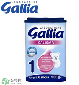gallia佳利雅奶粉怎么沖？gallia佳利雅奶粉沖調(diào)方法？