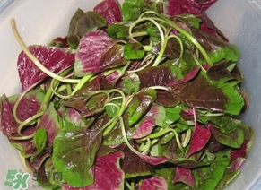 莧菜怎么洗？莧菜怎么擇