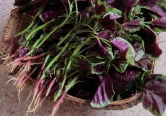 汗菜是發(fā)物嗎？汗菜是不是發(fā)物嗎